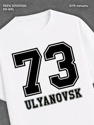 Футболка Регион 73