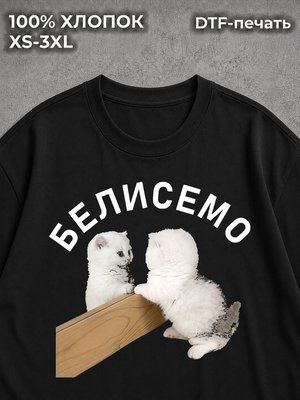 Футболка оверсайз прикол