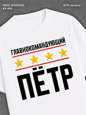 Футболка мужская именная главно