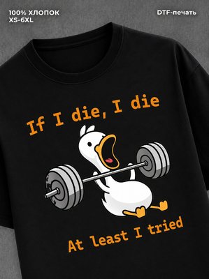 Футболка IF I DIE