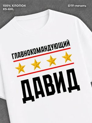 Футболка мужская именная главно