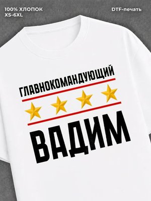 Футболка мужская именная главно