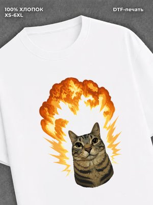 Футболка Мем с котом