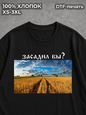 Футболка оверсайз Засадил бы