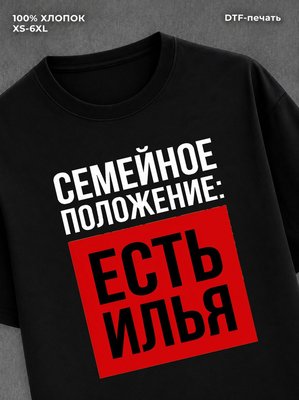 Футболка Семейное положение Илья