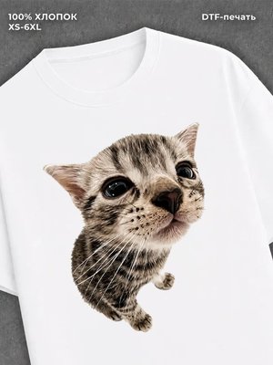 Футболка cat