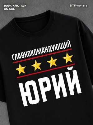 Футболка мужская именная главно
