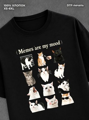 Футболка мемы котики