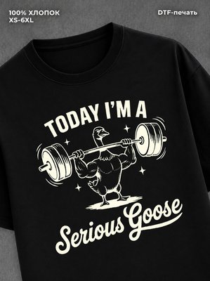 Футболка Serious Goose