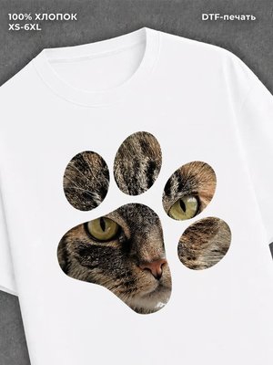 Футболка cat