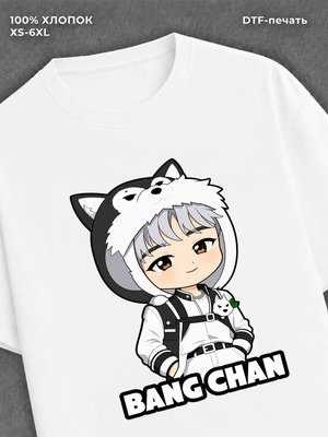Футболка Stray Kids