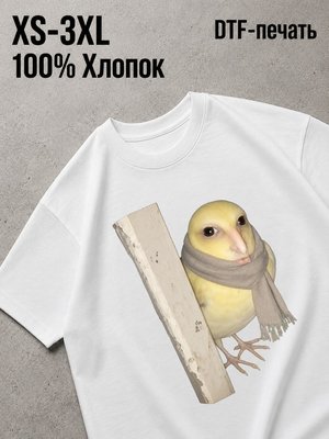 Футболка Мемы