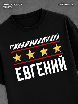 Футболка мужская именная главно