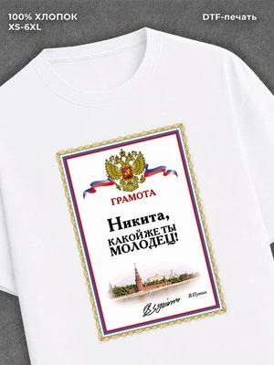 Футболка Никита