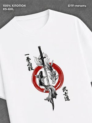 Футболка Ikken Hissatsu