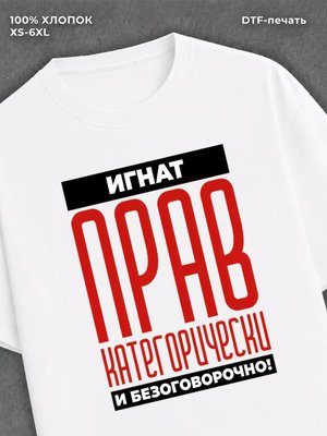 Футболка прикольная именная Игнат
