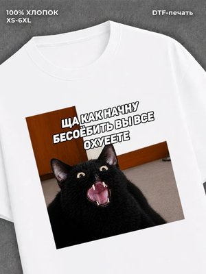 Футболка мем котик