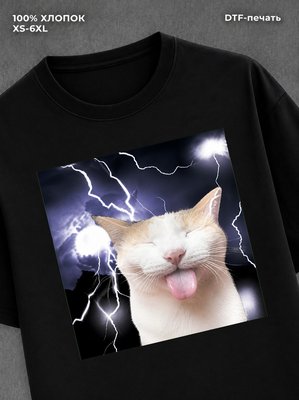 Футболка cat meme