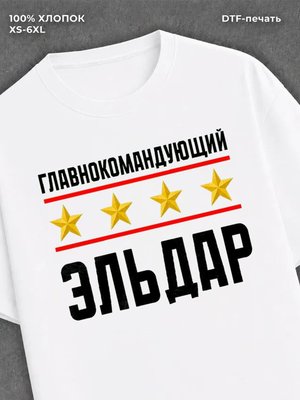 Футболка мужская именная главно