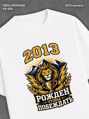 Футболка 2013 год