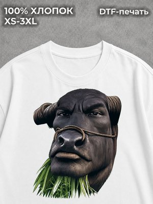 Футболка мемы
