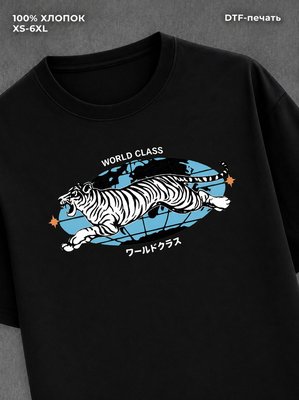 Футболка world glass