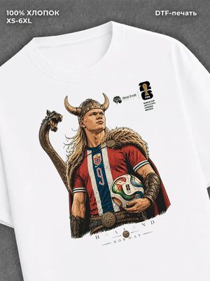 Футболка Холланд Норвегия