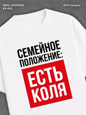 Футболка Семейное положение Коля Николай
