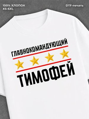 Футболка мужская именная главно