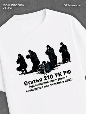 Футболка Статья 210 УК РФ