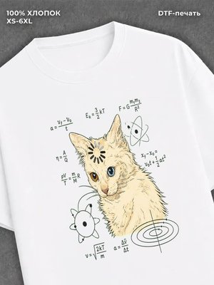 Футболка Кот математик