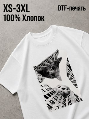 Футболка Архитектура