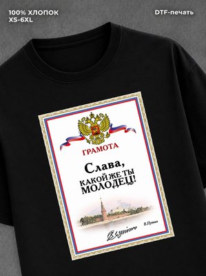 Футболка мужская именная Слава