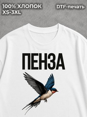 Футболка Пенза
