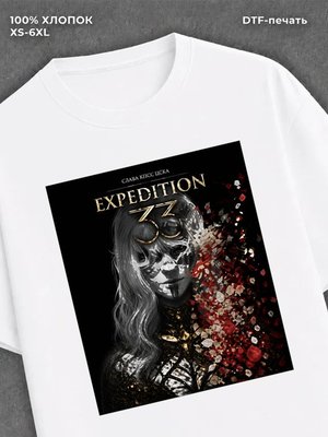 Футболка Expedition 33