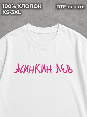 Футболка с надписями мем прикол Жинкин лев