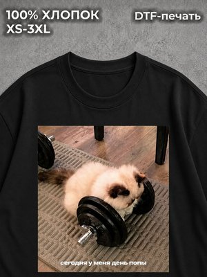 Футболка мем котики