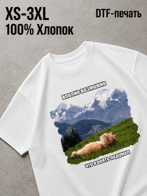 Футболка вполне возможно я опять подумал котик в горах